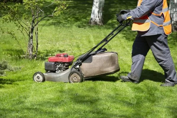 Lawn Care Services